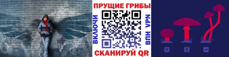 Псилоцибиновые грибы Psilocybine cubensis  Купить закладки  Новоаннинский 